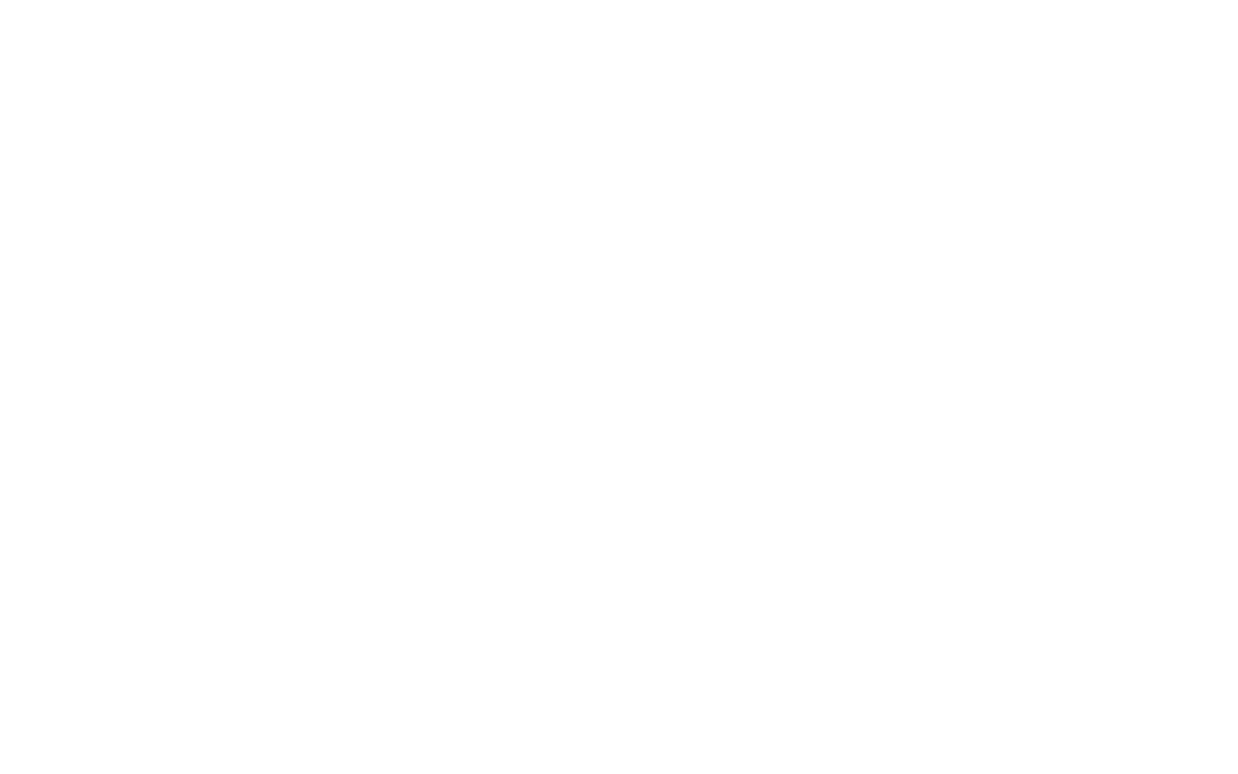 Copper Bottle